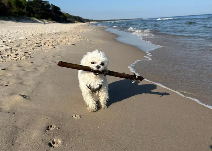 Aquapolanki Appartamento *